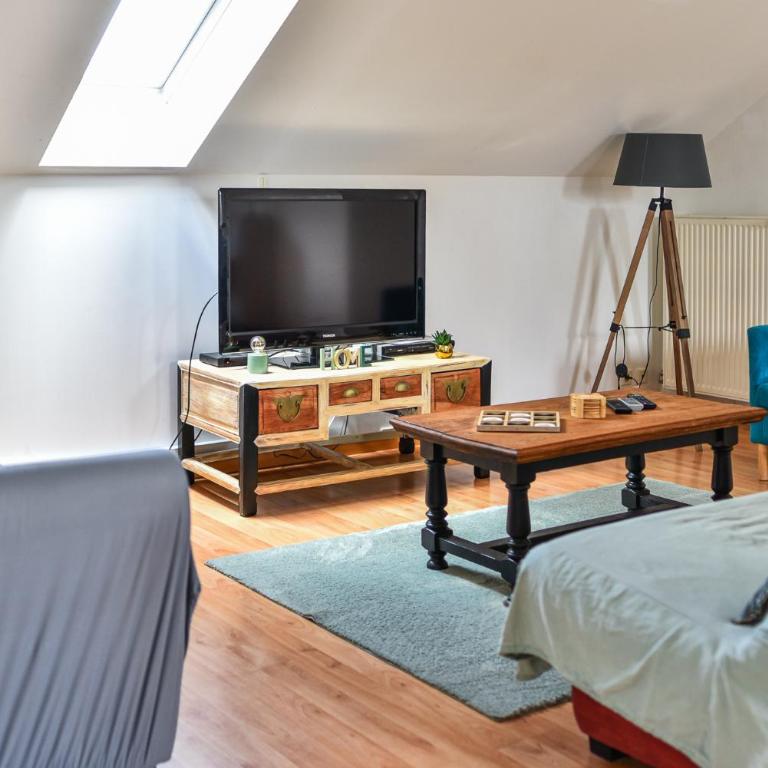 Appartement spacieux et lumineux - Centre - Bord Loire - Climatisation - Wifi - Tout Confort - Appartement 2 Chambres - 14