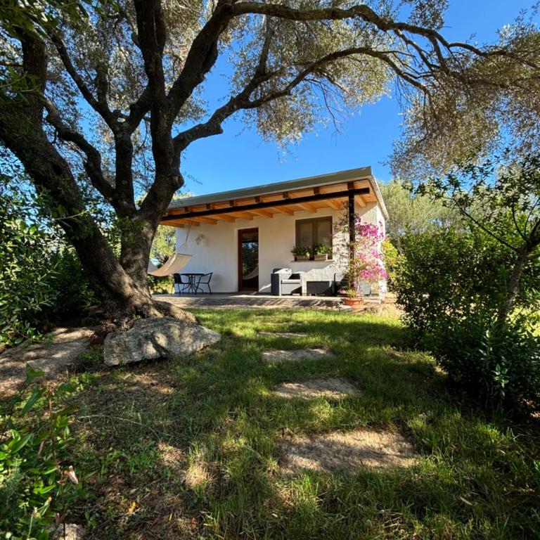 Sa Istera Sardegna - Double Room with Terrace - 8