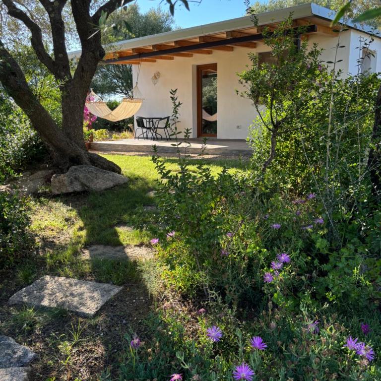Sa Istera Sardegna - Double Room with Terrace - 1