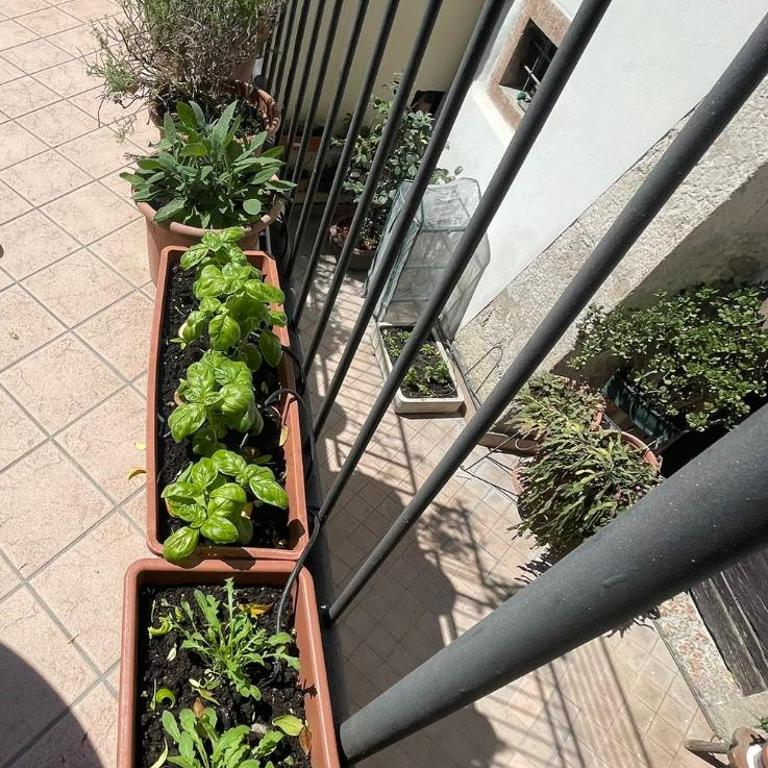 Appartamento al Gallo con terrazzo - Appartamento con 1 Camera da Letto - 14