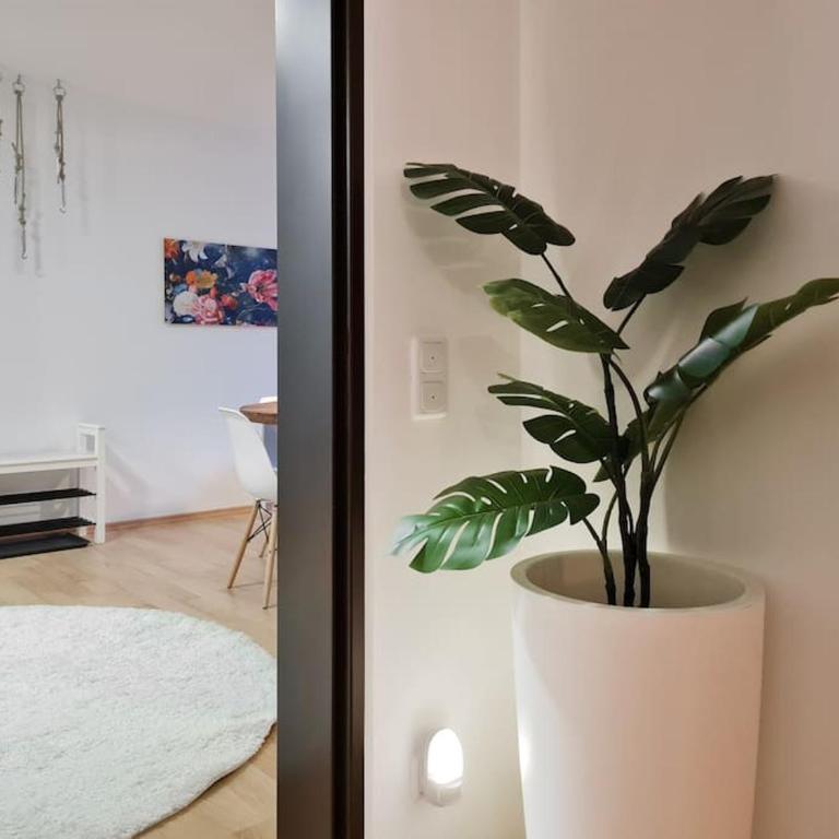 Sweet Home, Central & Quiet - Apartment - Ground Floor - 5