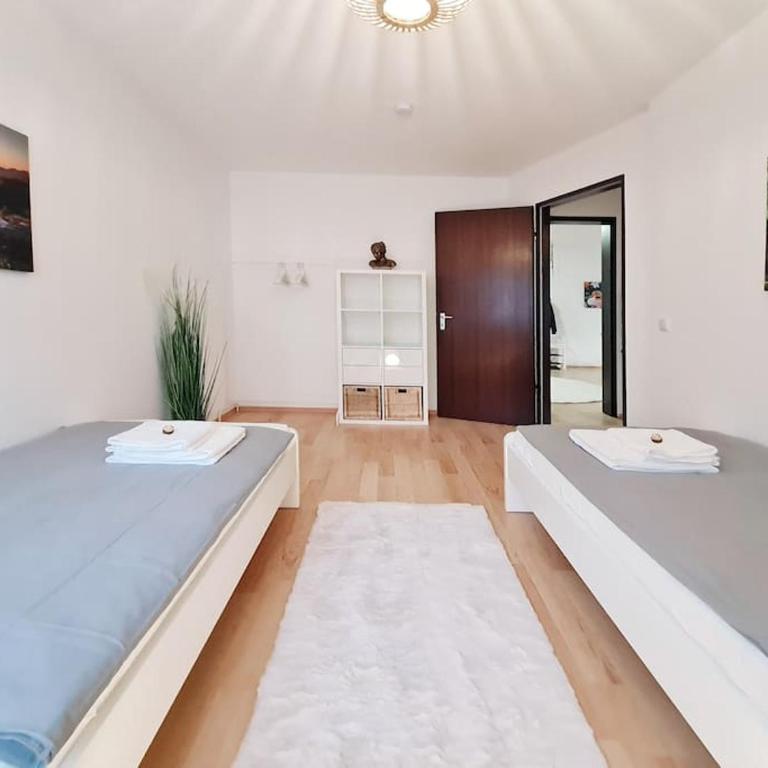 Sweet Home, Central & Quiet - Apartment - Ground Floor - 17