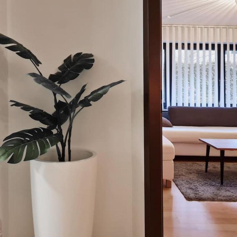 Sweet Home, Central & Quiet - Apartment - Ground Floor - 31