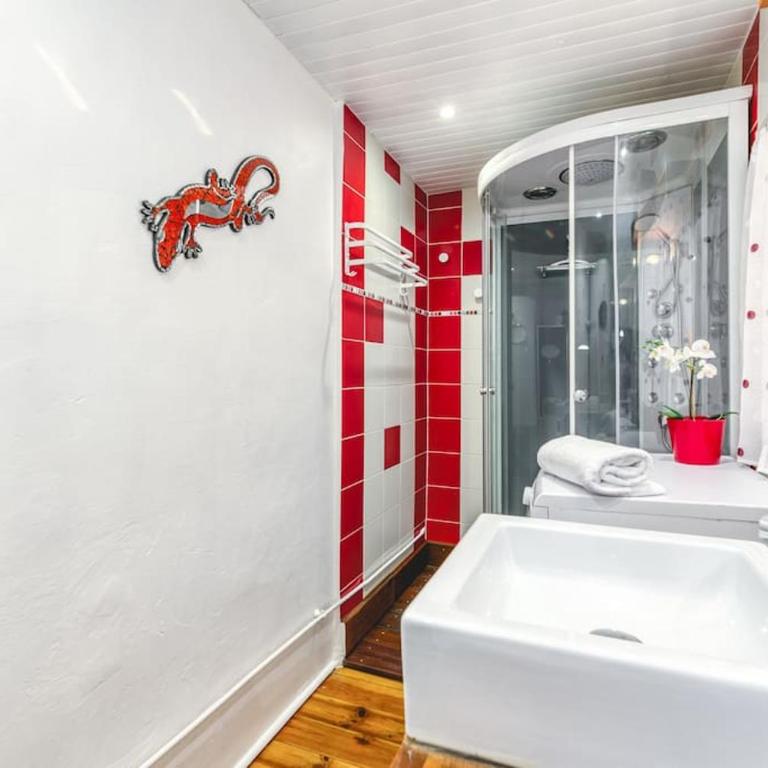 La Salamandre, 40 m2,Clim, 1 chambre, gare - Apartamento de 1 dormitorio - 15