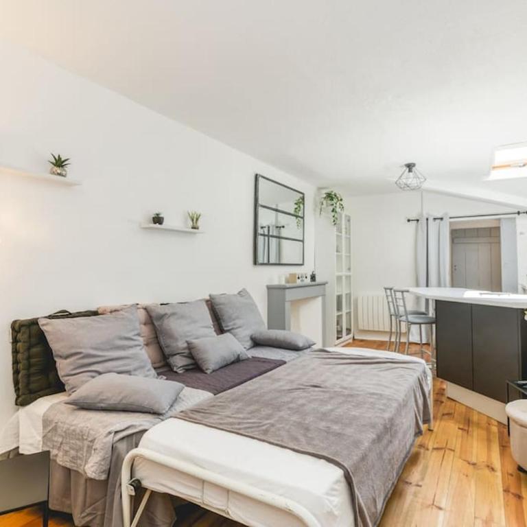La Salamandre, 40 m2,Clim, 1 chambre, gare - Apartamento de 1 dormitorio - 9