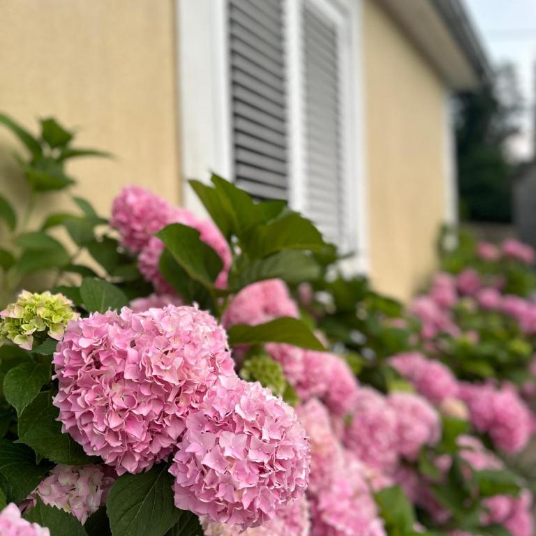 Etno village Mihailovic - One-Bedroom House - 27