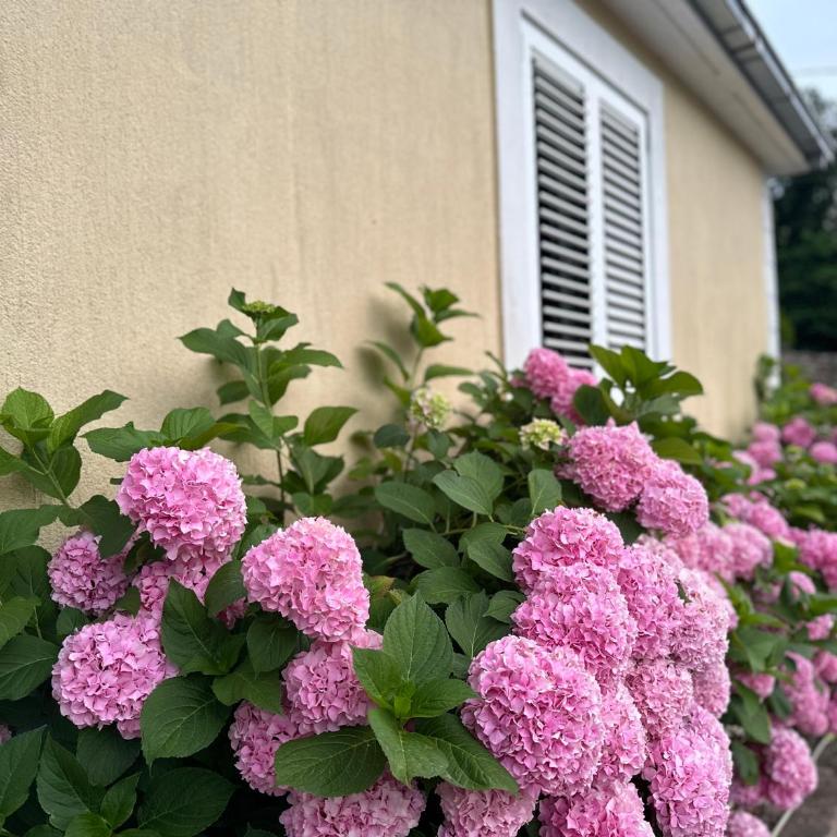 Etno village Mihailovic - One-Bedroom House - 26