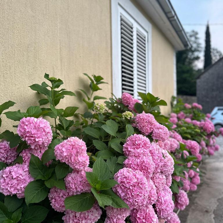 Etno village Mihailovic - One-Bedroom House - 25
