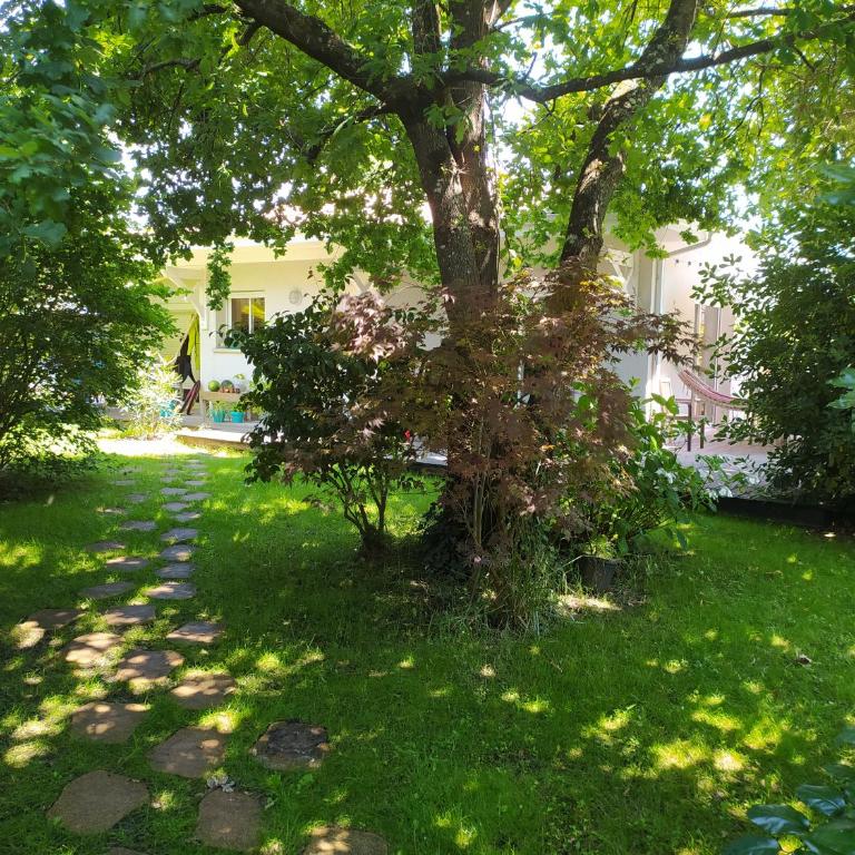 Maison avec piscine chauffée entre océan et bassin - Villa - 21