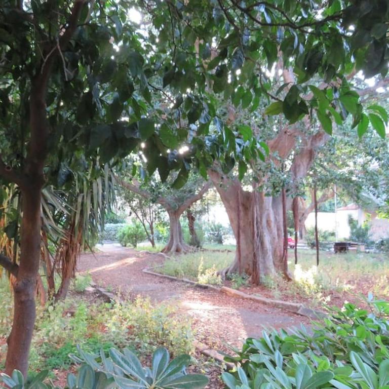 Relax nel verde- GioDaPi Palm - Appartamento con 2 Camere da Letto - 8