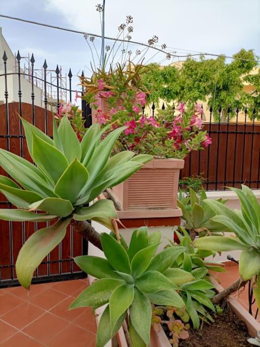 Casa Lea - Appartamento con 2 Camere da Letto - 11