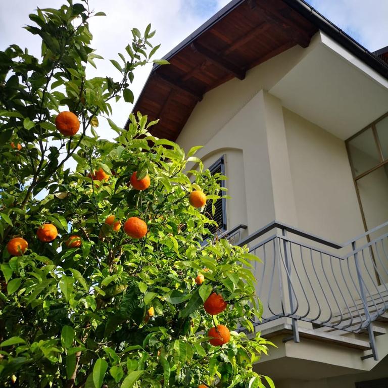 Loano Casa Archè villa indipendente con giardino - Appartamento con 2 Camere da Letto - 2