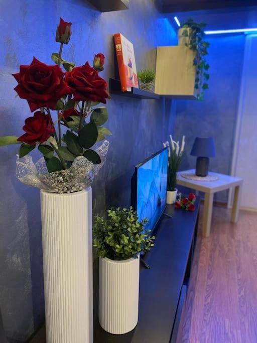 Loft in Pieno Centro a 150 mt dalla Mole - One-Bedroom Apartment - 21