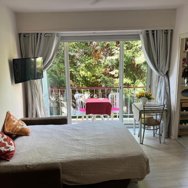 Cros de Cagnes, apartment with the Best Location - Apartment mit 1 Schlafzimmer - 10