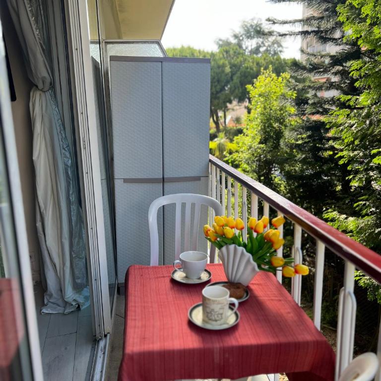 Cros de Cagnes, apartment with the Best Location - Apartment mit 1 Schlafzimmer - 14