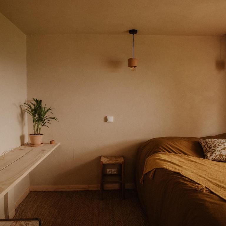 Kiwai Lodge - Bungalow - Maison 1 Chambre - 8