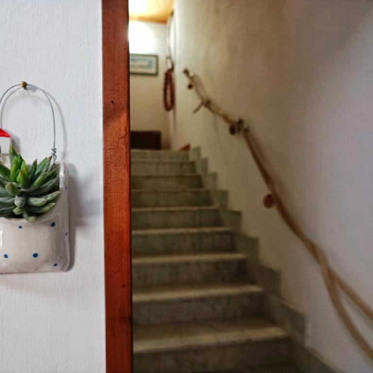 Casuzza del mare - One-Bedroom House - 5