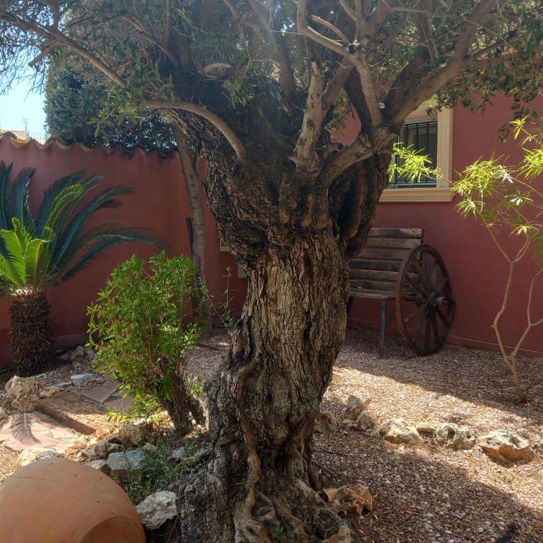 Villa Anna-Altea - Villa de 3 dormitorios - 39