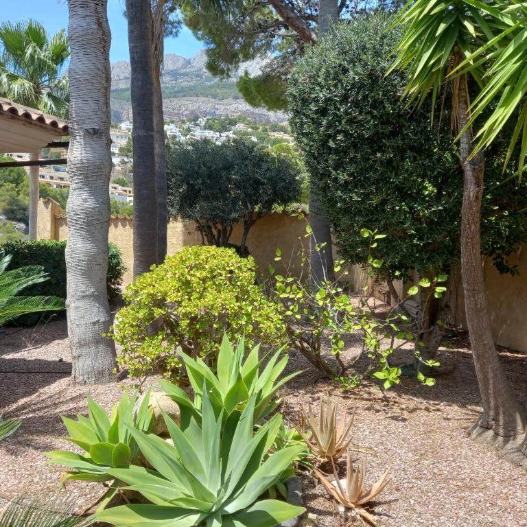 Villa Anna-Altea - Villa de 3 dormitorios - 44