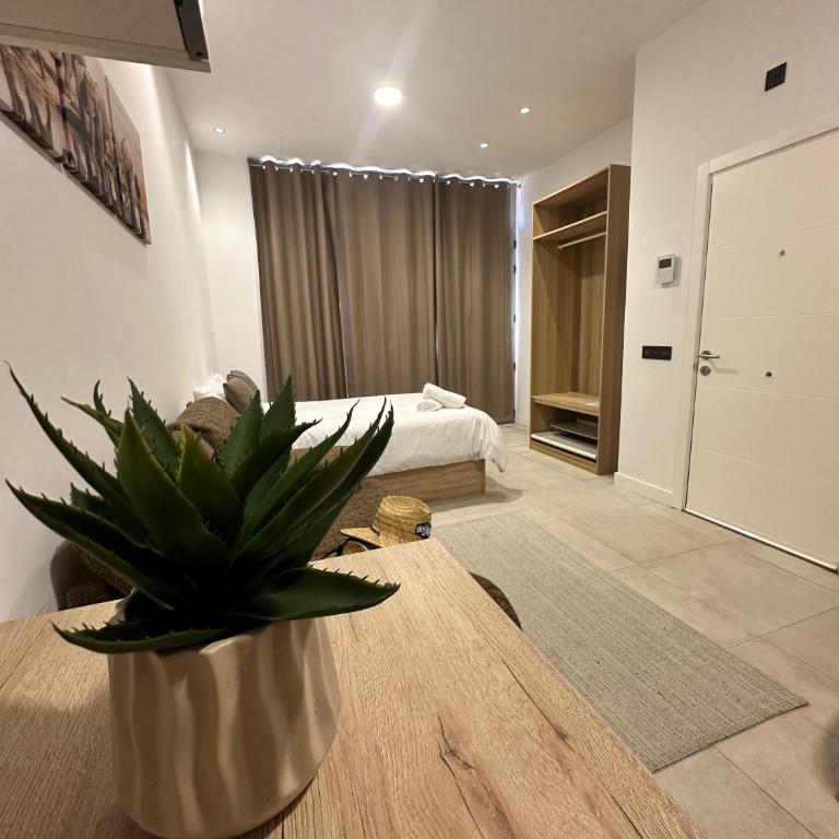 Mirador Suites - Apartment - 3