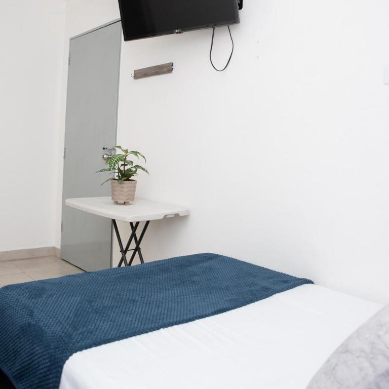 Hotel Alcazar - Budget Double Room - 1