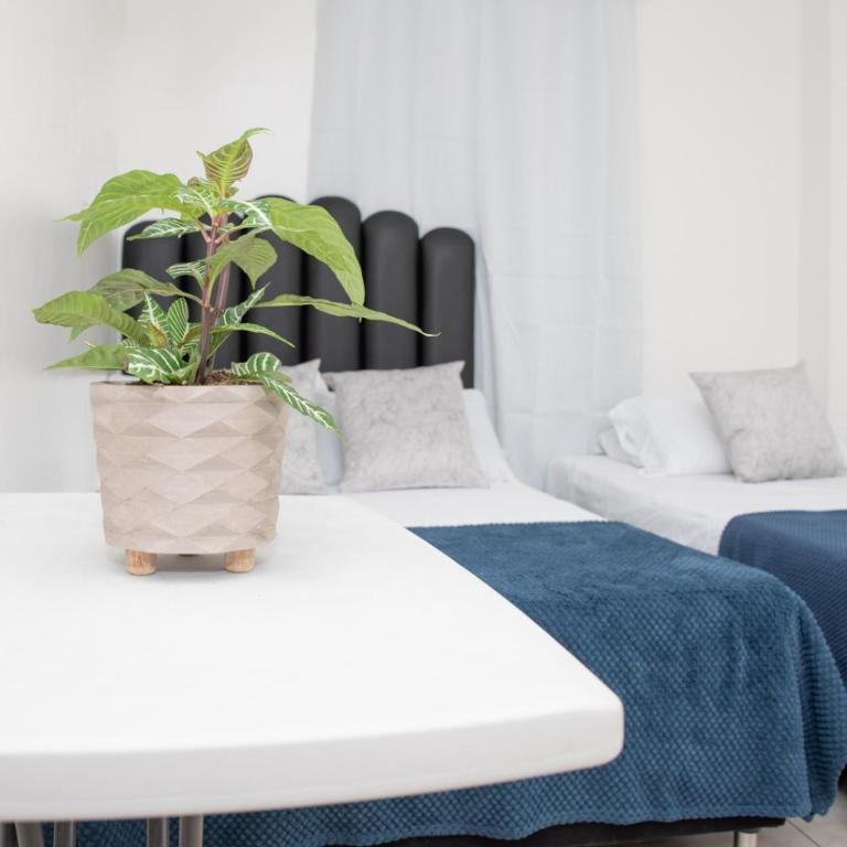 Hotel Alcazar - Budget Double Room - 2