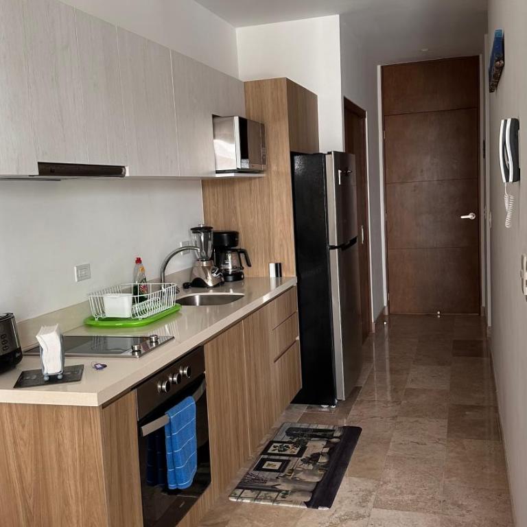 Ipana Luxury Suites By Caribe Rentas - Apartamento Superior de 1 dormitorio con balcón - 3