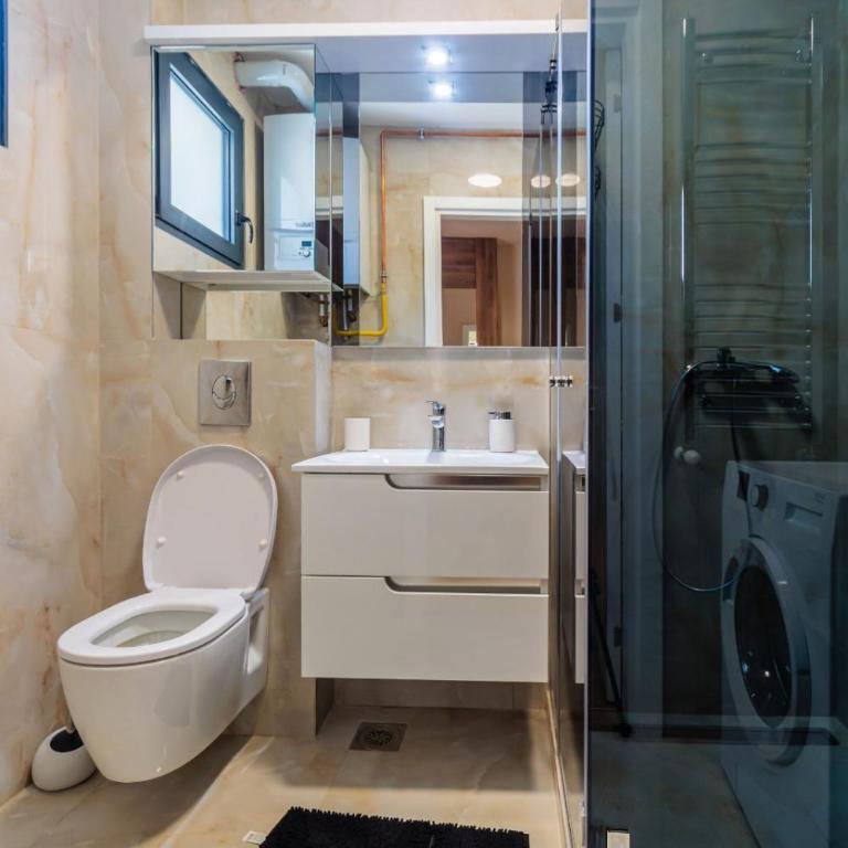Kragujevac center apartments - One-Bedroom Apartment - 17