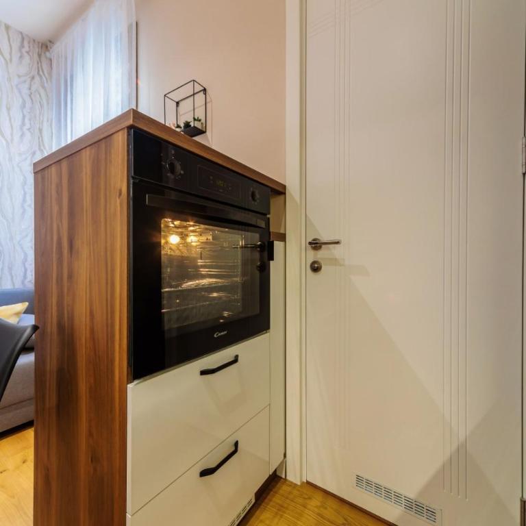 Kragujevac center apartments - One-Bedroom Apartment - 11