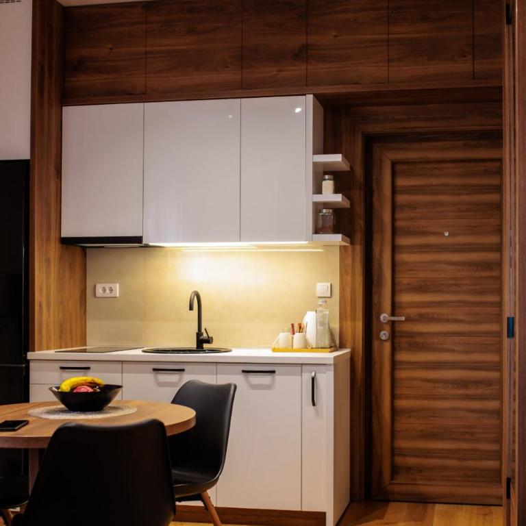 Kragujevac center apartments - One-Bedroom Apartment - 3