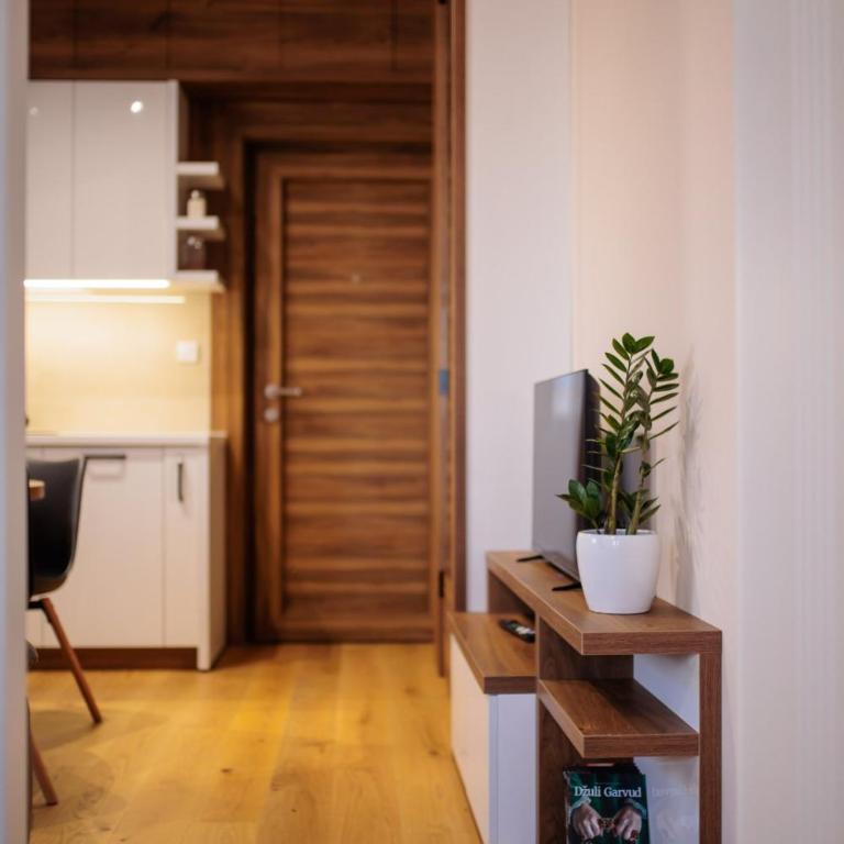 Kragujevac center apartments - One-Bedroom Apartment - 14