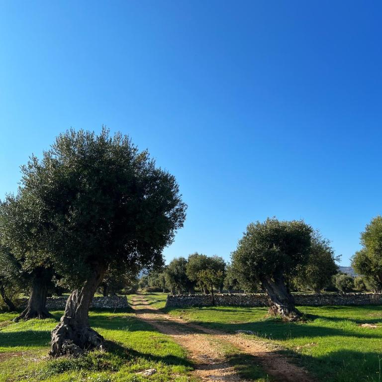 Minicasa nella natura, con piscina a due passi - Casa Vacanze - 48