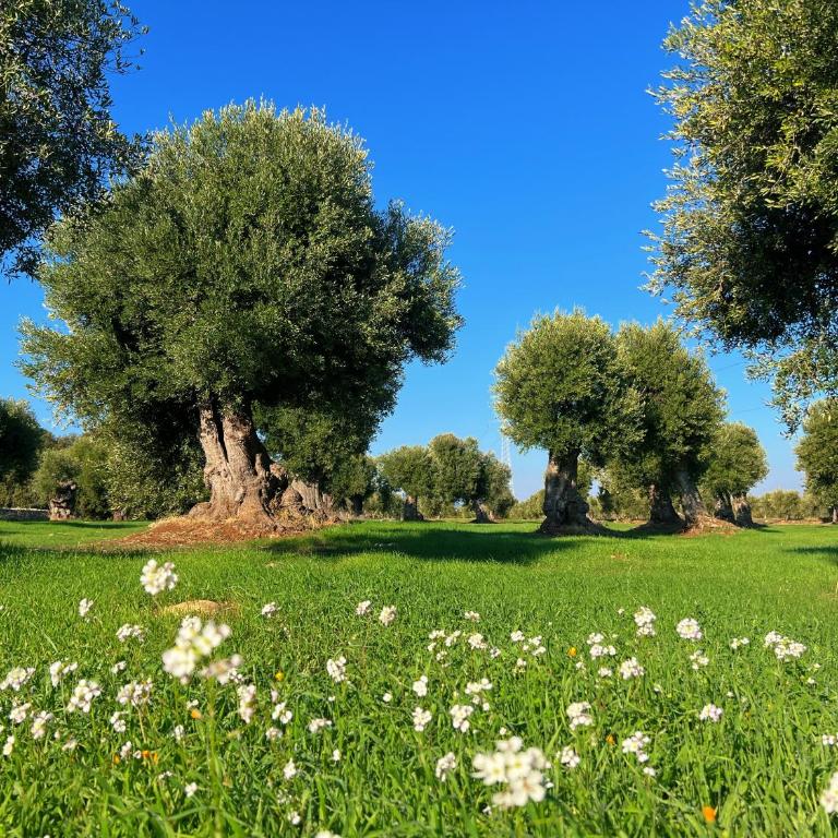Minicasa nella natura, con piscina a due passi - Casa Vacanze - 49