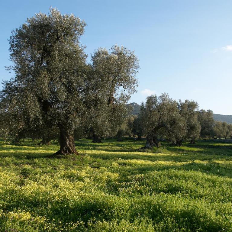 Minicasa nella natura, con piscina a due passi - Casa Vacanze - 50