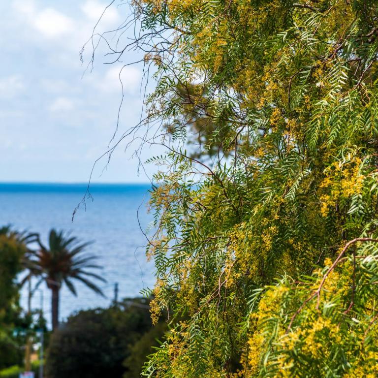 Residence Augusto - Appartamento con 2 Camere da Letto e Vista Mare - 11