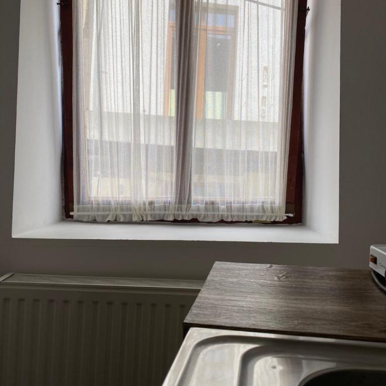 Apartman ''Trg'' - Apartman sa 1 Spavaćom Sobom - 11