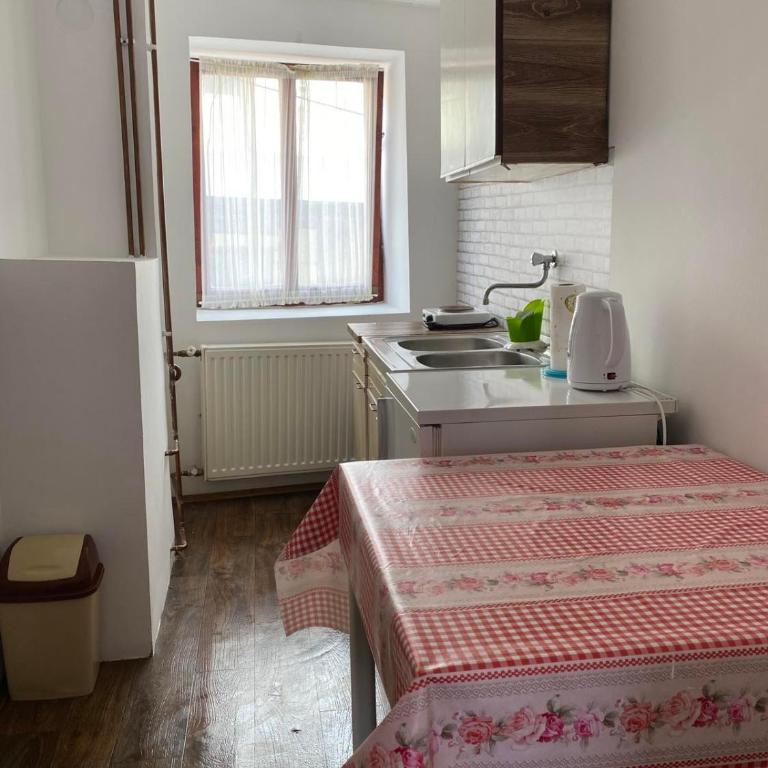 Apartman ''Trg'' - Apartman sa 1 Spavaćom Sobom - 8