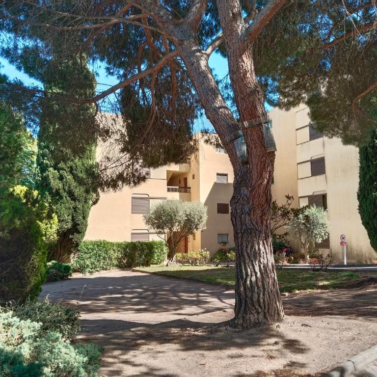 Grand T2 Classé 4 étoiles - Plein sud et très calme au Lavandou - Appartement Deluxe - 23