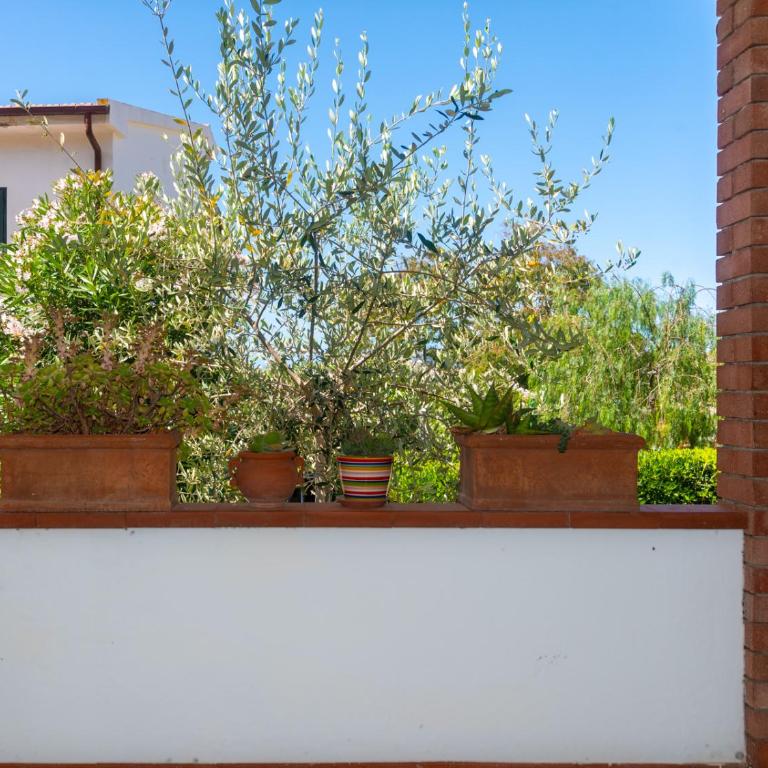 Residence Augusto - Appartamento Monolocale con Vista Mare - 14