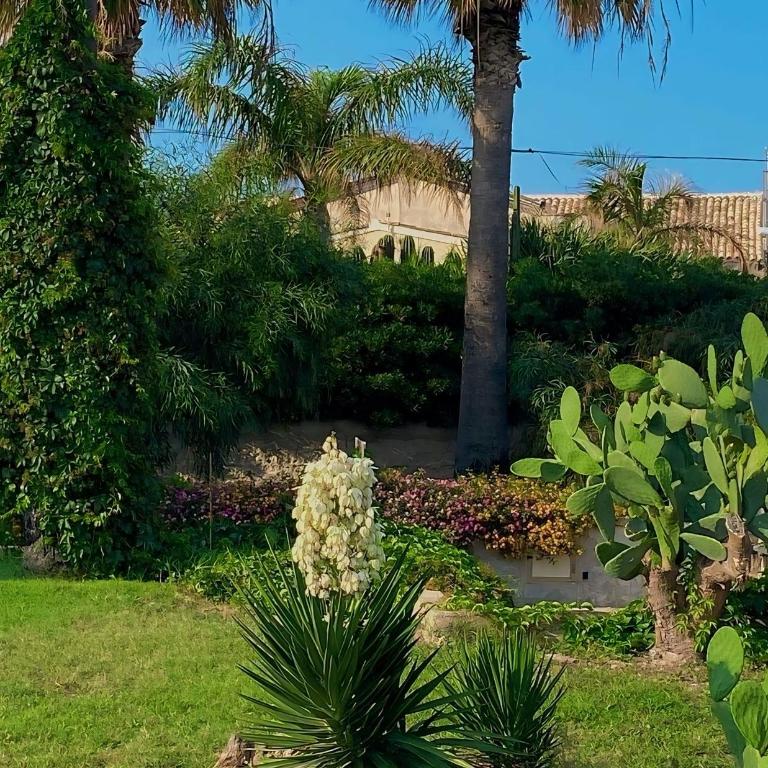 Il mare di Ciccio - Casa con 3 Camere da Letto - 31