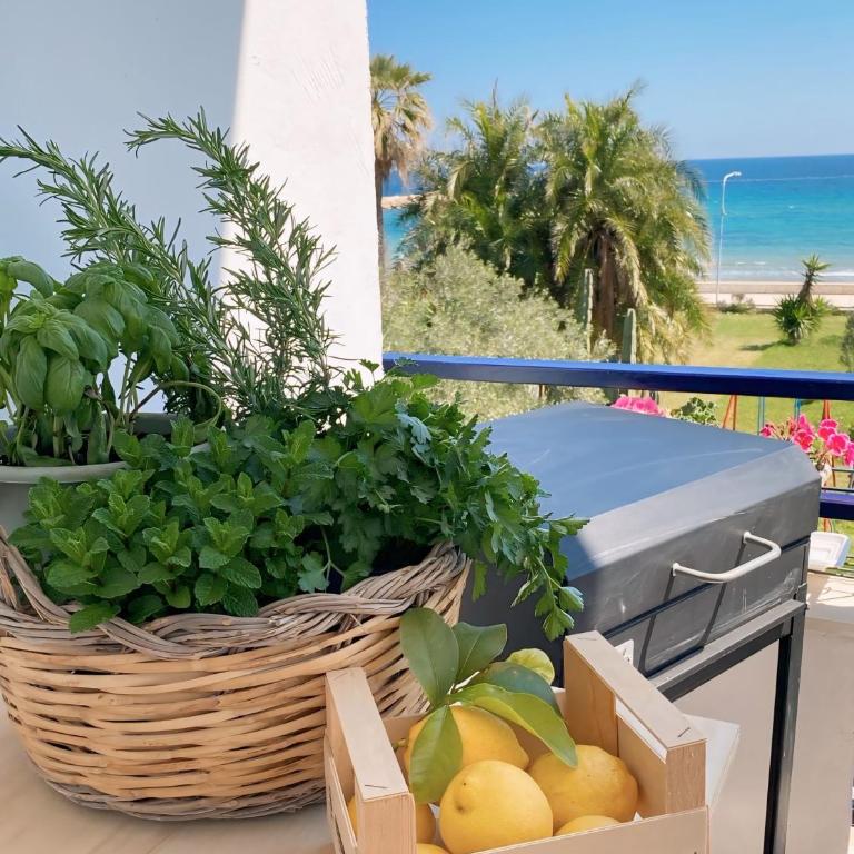 Il mare di Ciccio - Casa con 3 Camere da Letto - 23