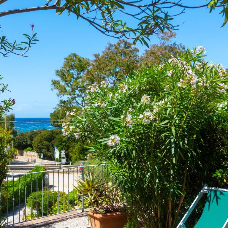 Residence Augusto - Appartamento con 1 Camera da Letto e Vista Mare - 17