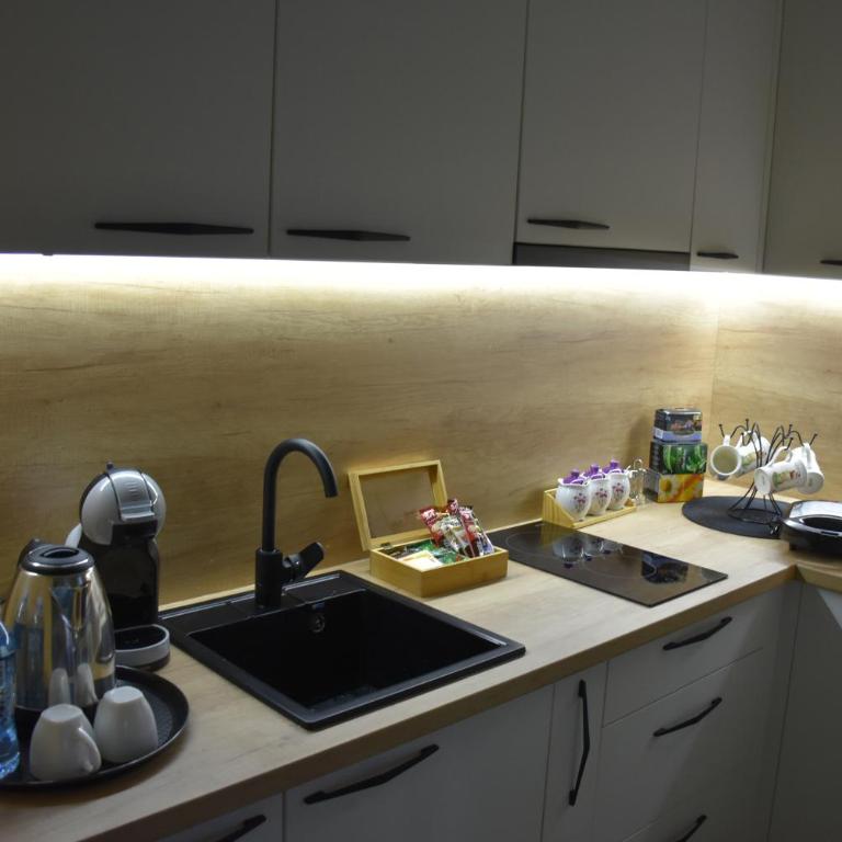 Apartman Gorsky - One-Bedroom Apartment - 5