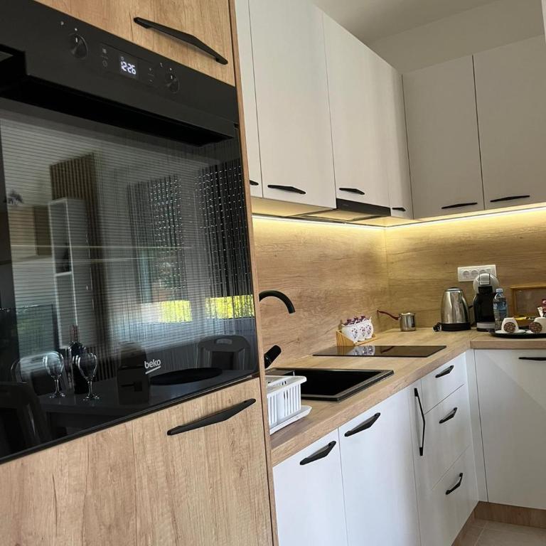 Apartman Gorsky - One-Bedroom Apartment - 6