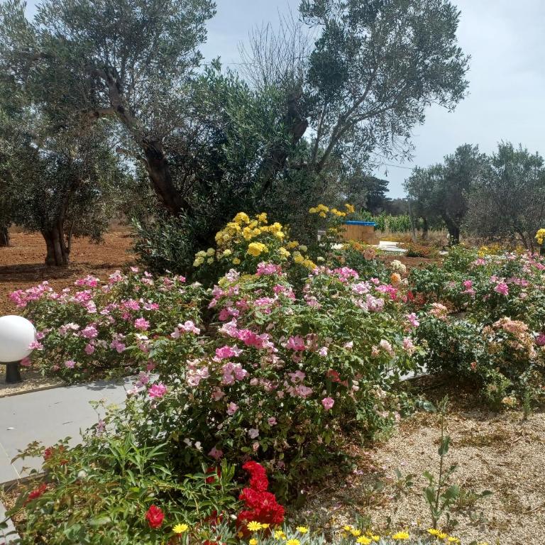 Zeituna Lodge a Porto Cesareo - Two-Bedroom House - 14