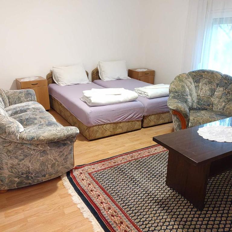 Studio Petrović - One-Bedroom Apartment - 12