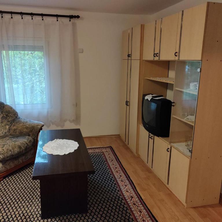Studio Petrović - One-Bedroom Apartment - 14