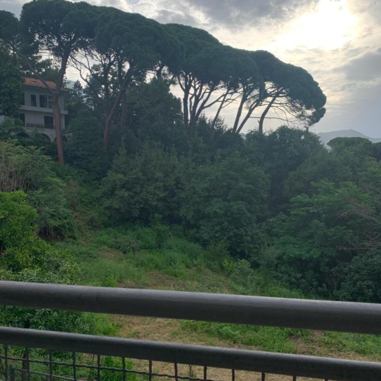 Villa Monte Boutique Apartments in Herceg Novi - Apartment with Balcony - 3