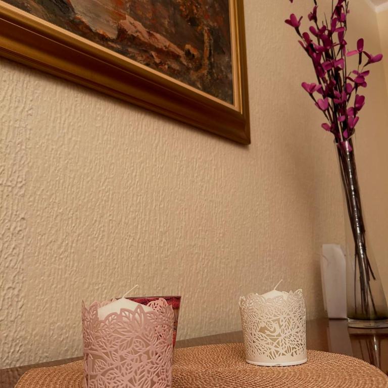 A2 apartment Nis - 80 m2 - City center - Apartman sa 2 Spavaće Sobe - 8