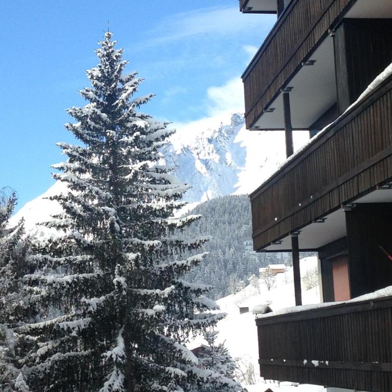 Alpendomizil Pia - Apartment mit 2 Schlafzimmern und Balkon - 32